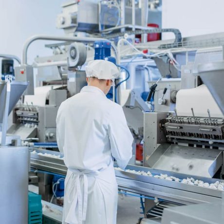 آماده سازی سریع گوشت صنعتی